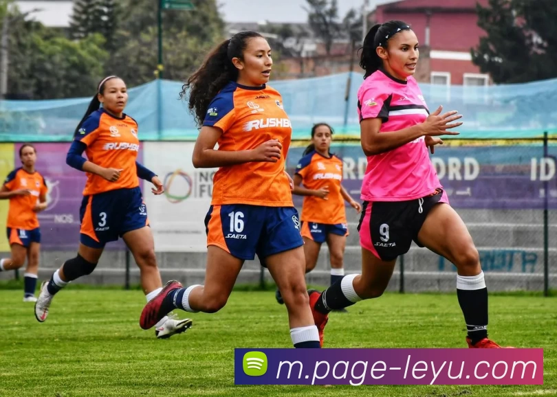 乐鱼体育全站App